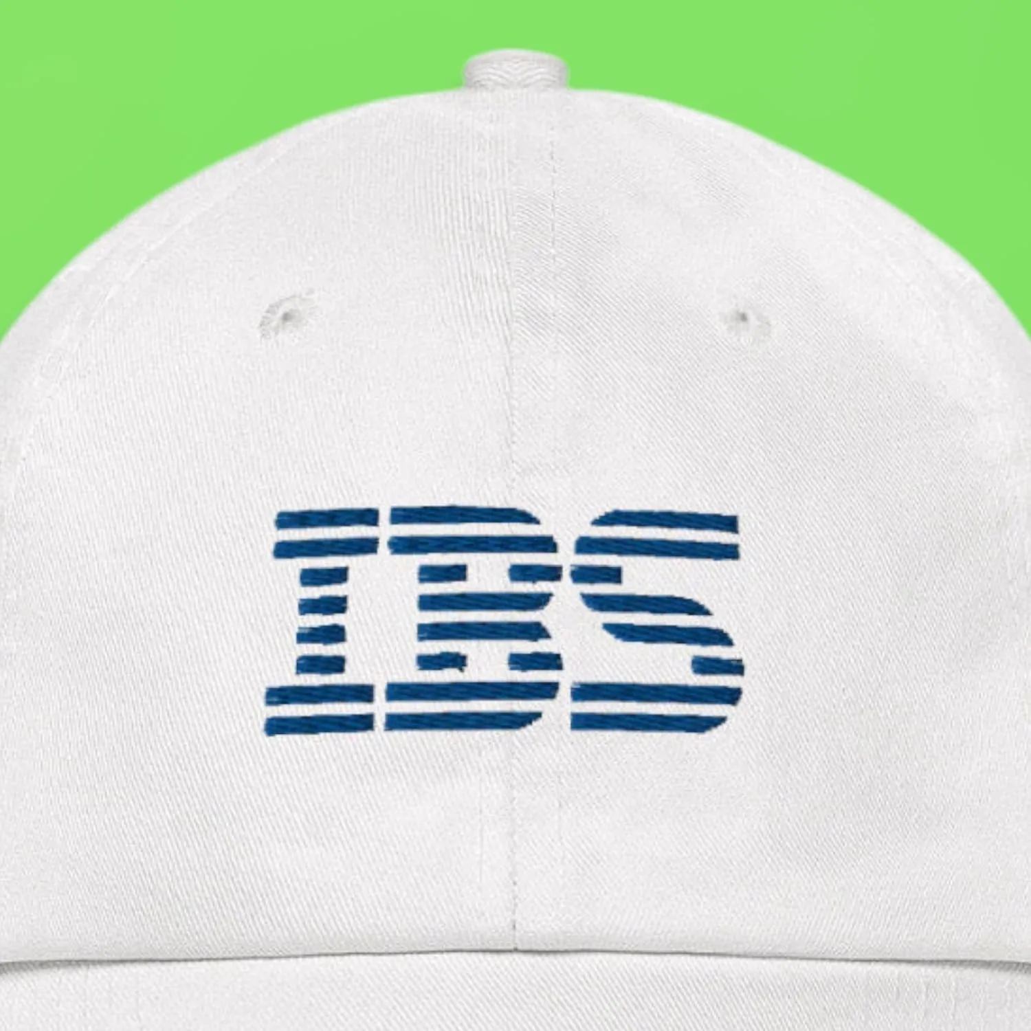 IBS Dad Hat