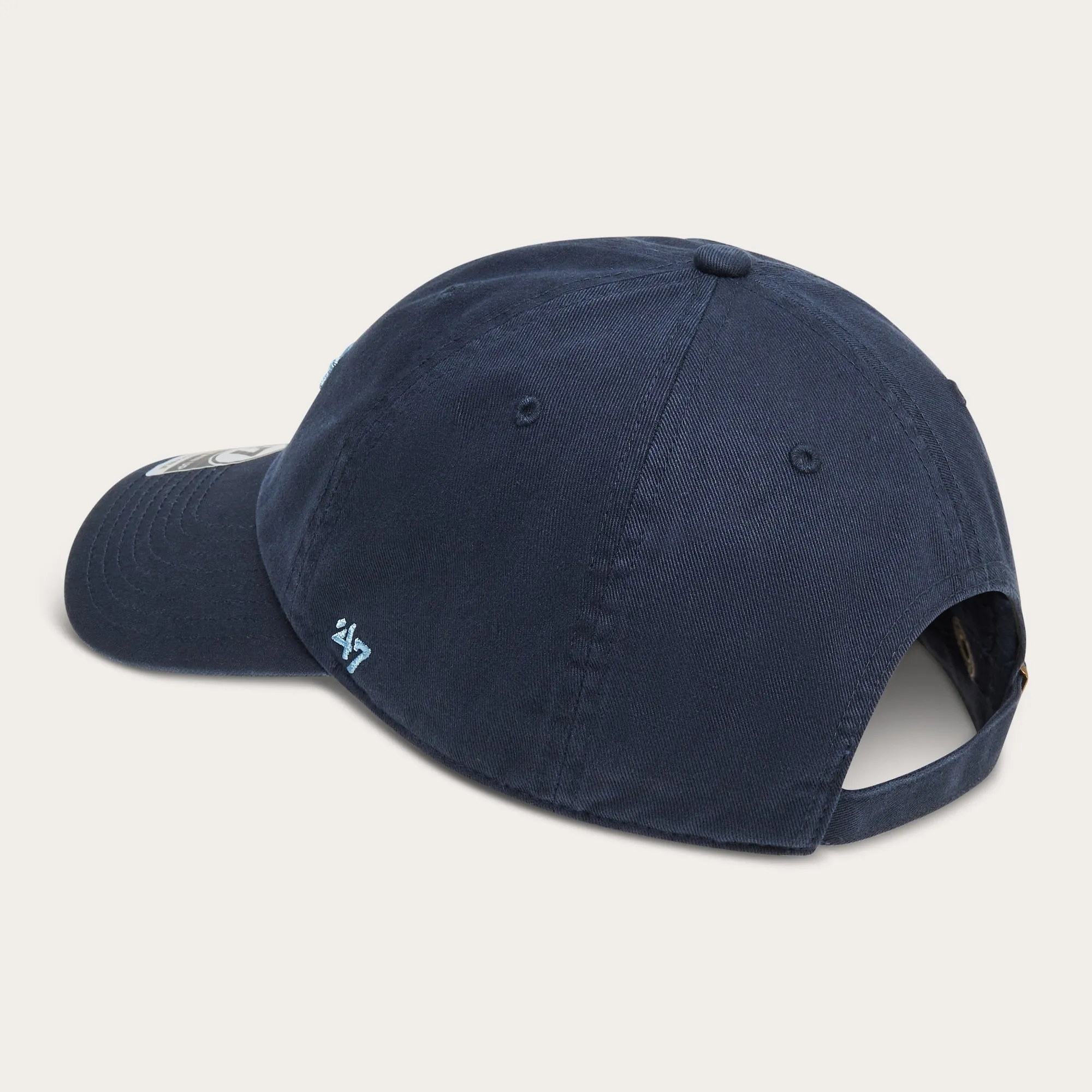 Remix Dad Hat (Oakley)